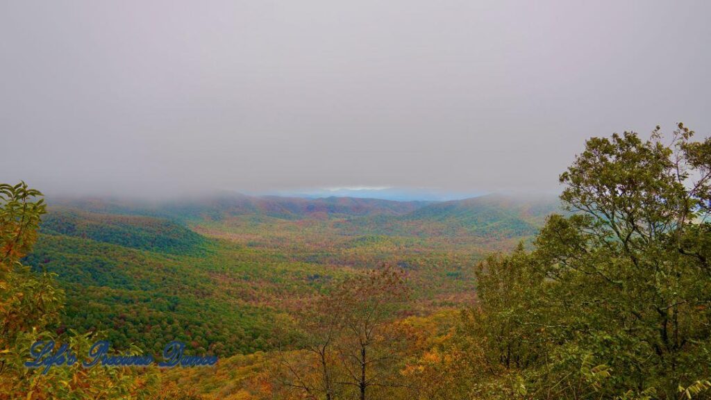 Landscape view of the colorful trees of the Blue Ridge Mountains. Overcast skies overhead and fog in the valley.