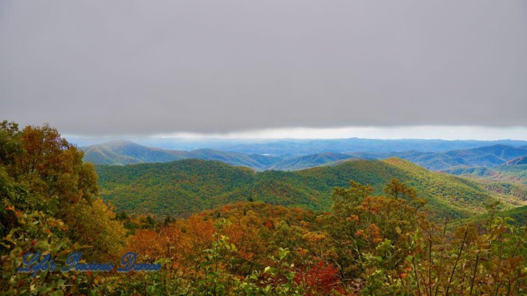 Landscape view of the colorful trees of the Blue Ridge Mountains. Overcast skies overhead.