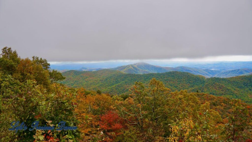 Landscape view of the colorful trees of the Blue Ridge Mountains. Overcast skies overhead and fog in the valley.