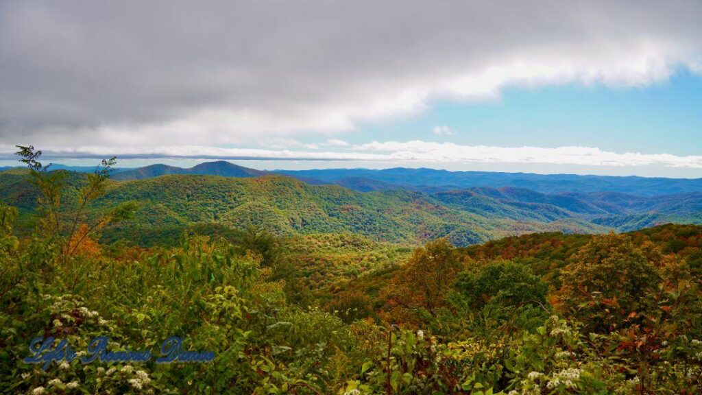 Landscape view of the colorful trees of the Blue Ridge Mountains. Overcast skies overhead.