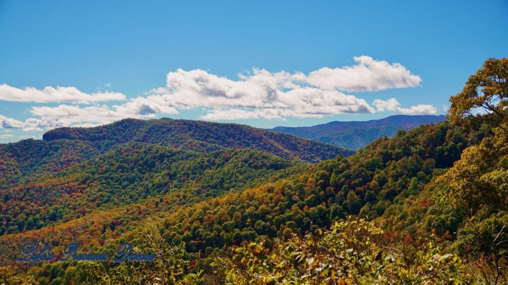 Landscape view of the colorful trees of the Blue Ridge Mountains. Passing clouds against a Carolina blue sky.