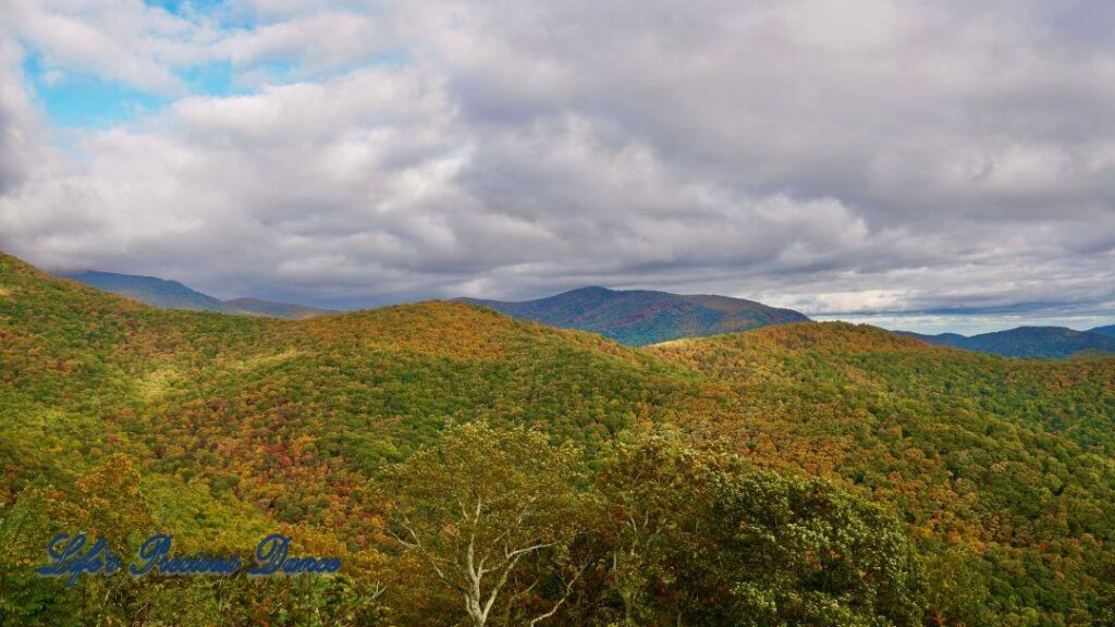 Landscape view of the colorful trees of the Blue Ridge Mountains. Passing clouds against a Carolina blue sky.