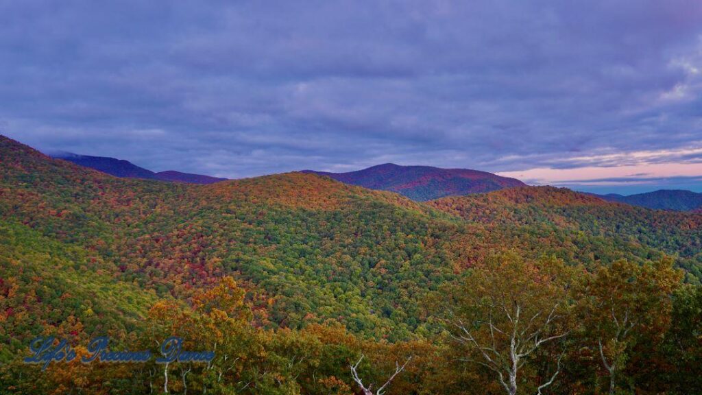 Landscape view of the colorful trees of the Blue Ridge Mountains at dusk. Cloudy skies above.