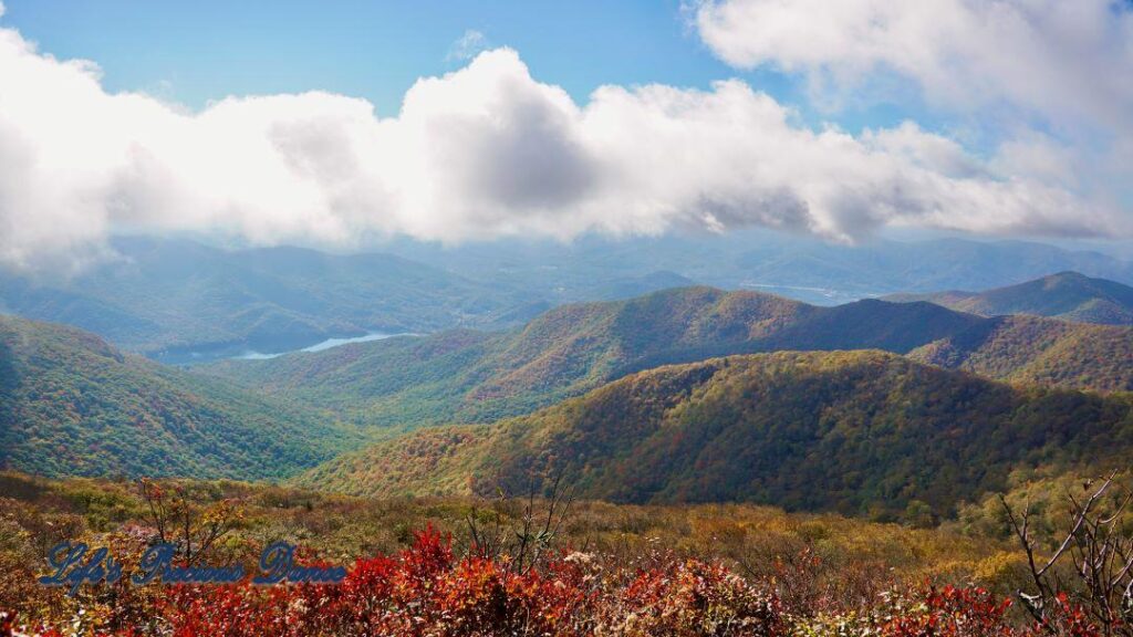 Landscape view of colorful trees, in the Blueridge mountains, surrounding a lake in the valley. Fluffy clouds above.