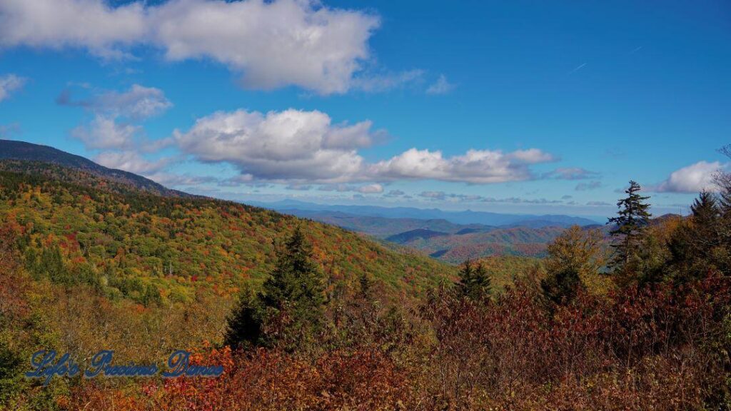 Landscape view of the colorful trees of the Blue Ridge Mountains. Passing clouds against a Carolina blue sky.