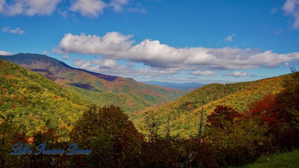 Landscape view of the colorful trees of the Blue Ridge Mountains. Passing clouds against a Carolina blue sky.