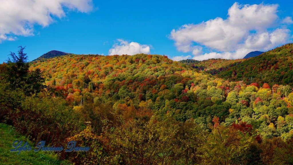 Landscape view of the colorful trees of the Blue Ridge Mountains. Passing clouds against a Carolina blue sky.