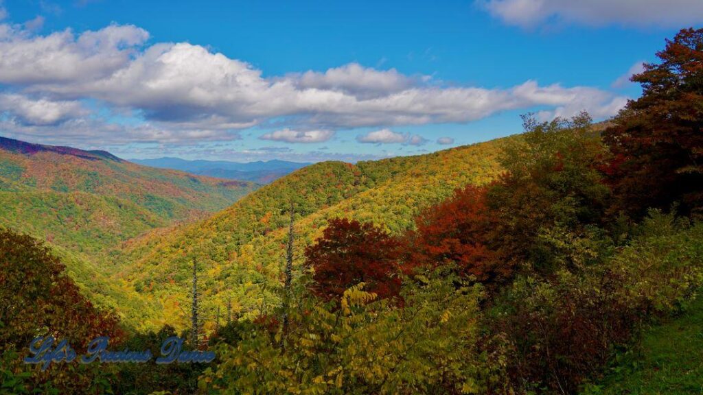 Landscape view of the colorful trees of the Blue Ridge Mountains. Passing clouds against a Carolina blue sky.