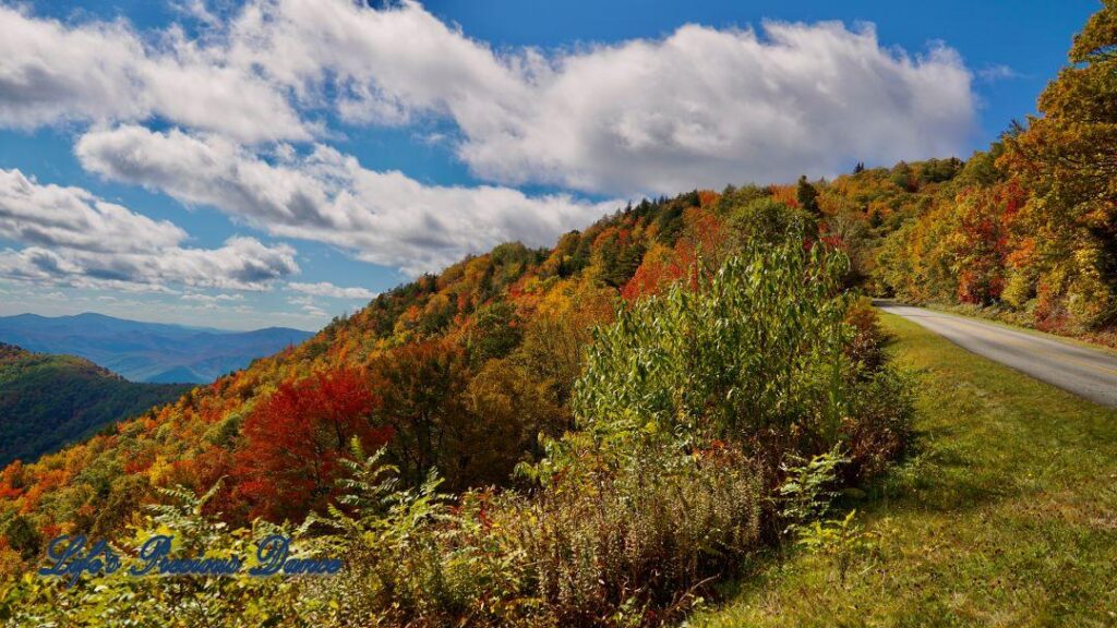 Landscape view of the colorful trees of the Blue Ridge Mountains. Passing clouds against a Carolina blue sky.