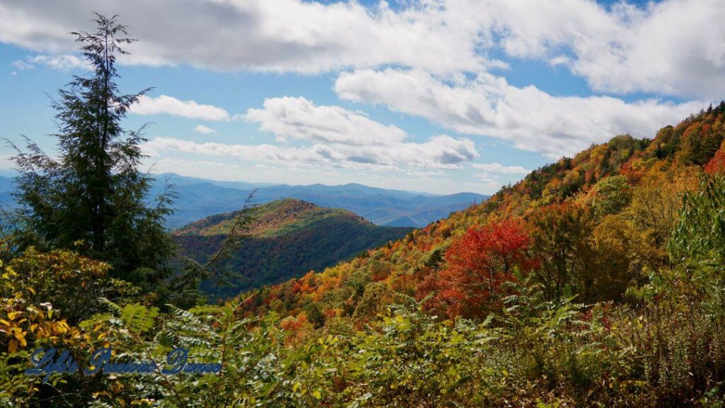 Landscape view of the colorful trees of the Blue Ridge Mountains. Passing clouds against a Carolina blue sky.