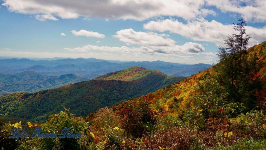 Landscape view of the colorful trees of the Blue Ridge Mountains. Passing clouds against a Carolina blue sky.