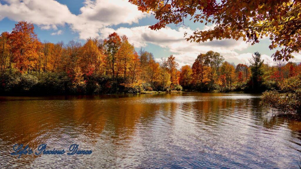 Landscape view of colorful trees and clouds reflecting in Price Lake.