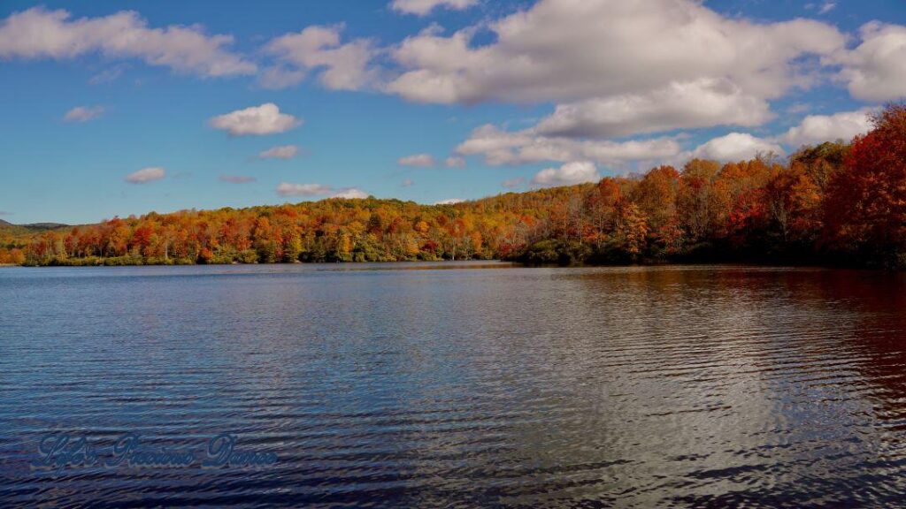 Landscape of Price Lake surrounded by colorful trees and fluffy passing clouds overhead.