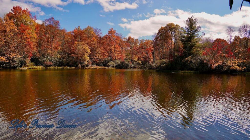 Landscape view of colorful trees and clouds reflecting in Price Lake.