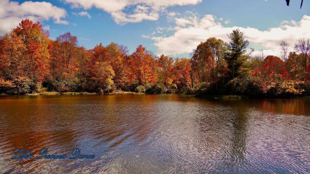 Landscape view of colorful trees and clouds reflecting in Price Lake.