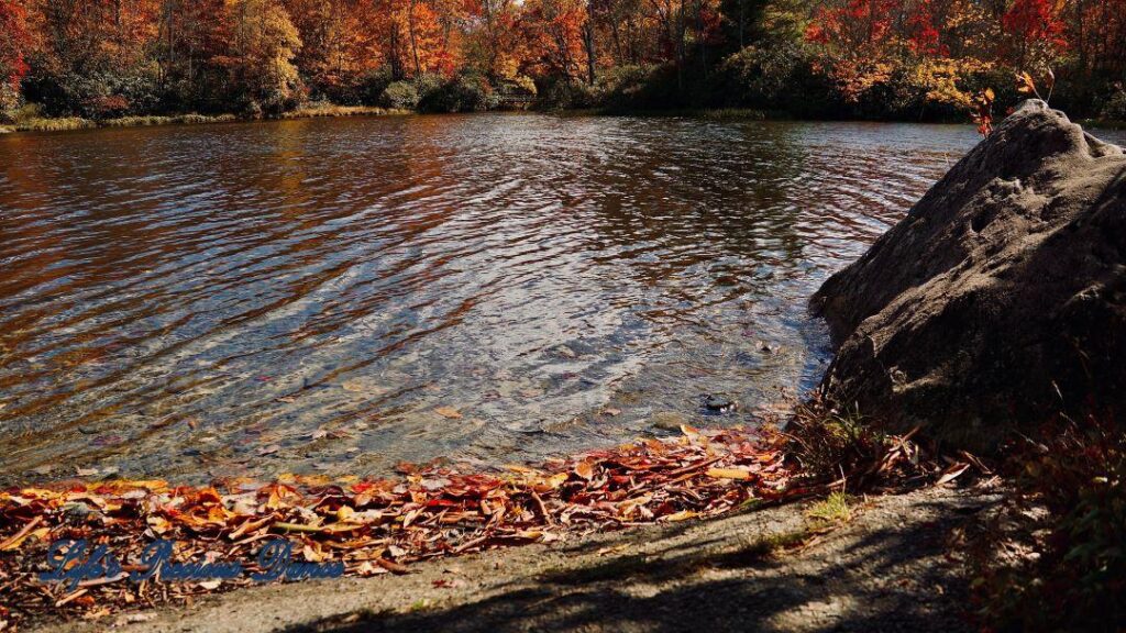 Price lake with colorful trees on opposite shore and a loan boulder to the right.