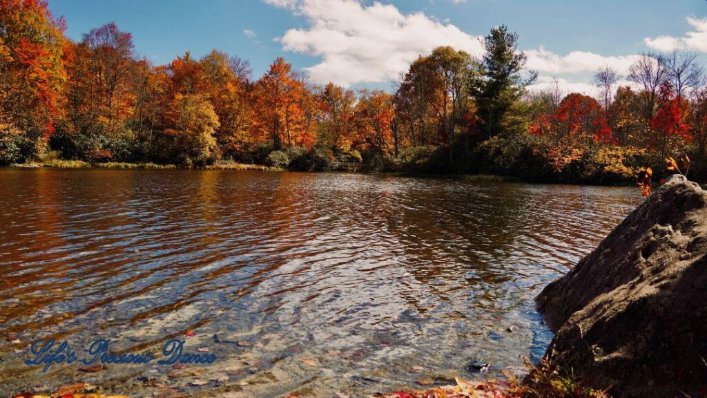 Landscape view of Price lake. Colorful trees and passing clouds in background. A loan boulder sits to the right.