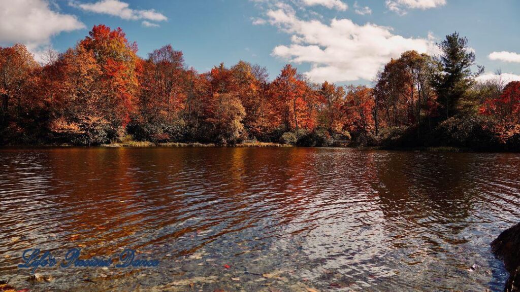 Landscape view of colorful trees and clouds reflecting in Price Lake.