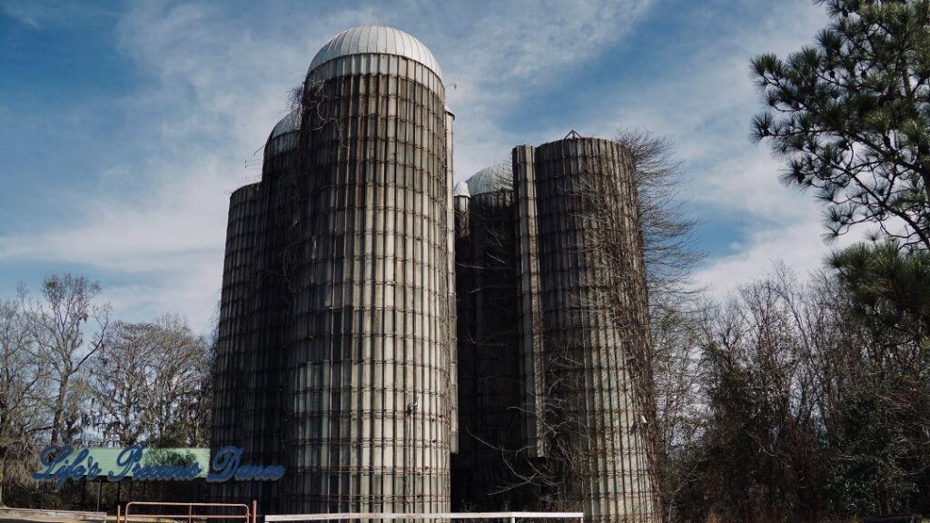 Grain silos in a field with vines growing up and around the structures. Passing clouds overhead and a shelter to its right.