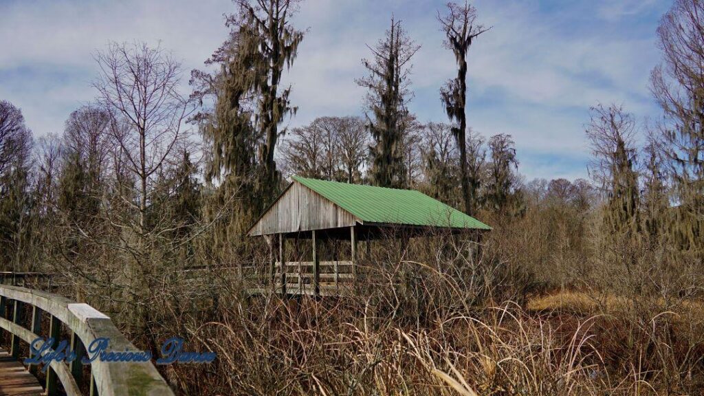 Covered viewing deck in a marshy area of Phinizy Swamp Nature Park