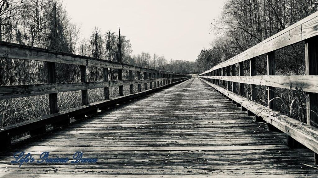 Black and white of a boardwalk crossing a swamp.