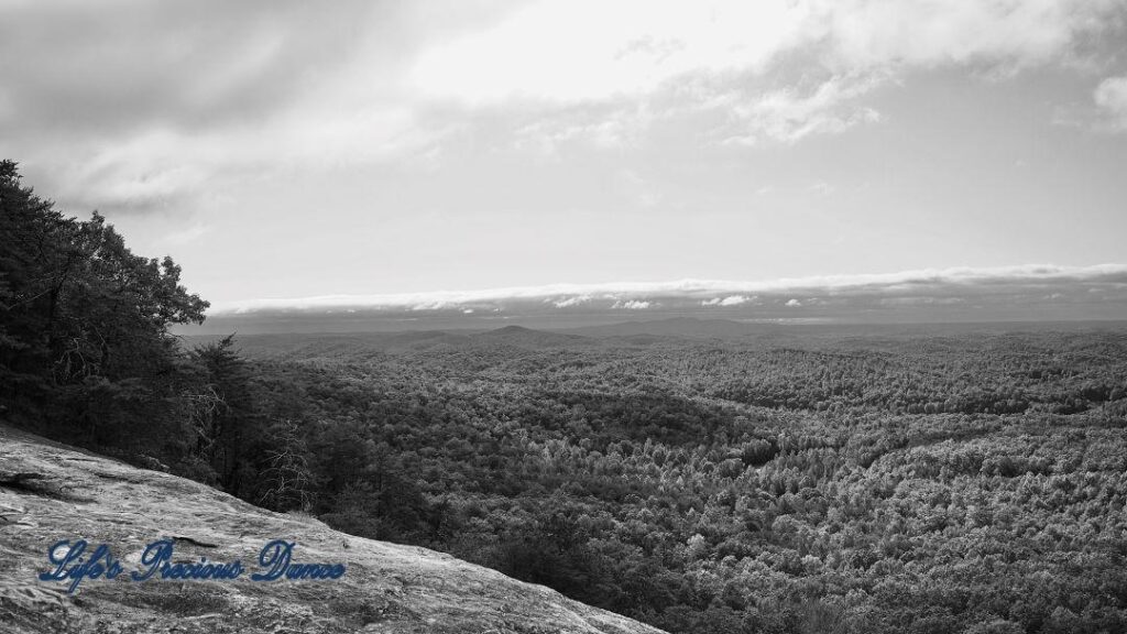 Black and white landscape view of a valley of trees. Clouds up above and mountain peaks in the background.