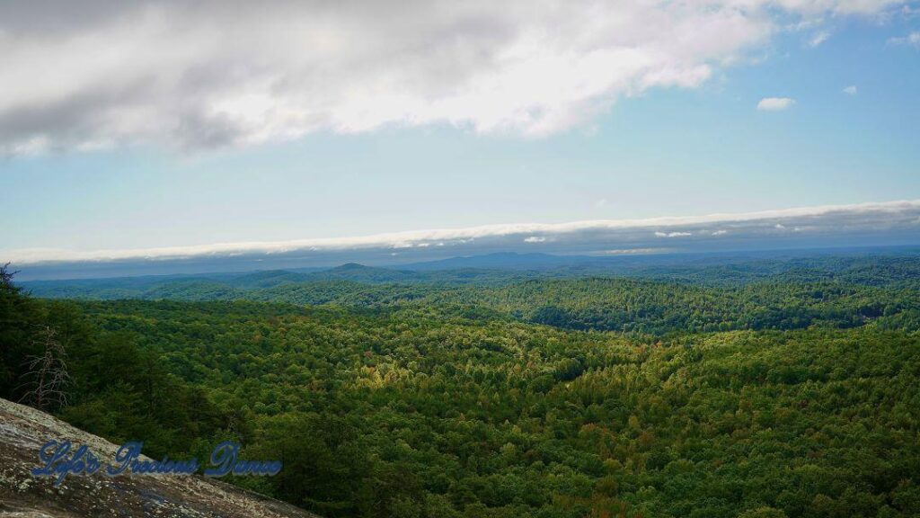 Landscape view of a valley of trees. Mountain peaks in the background and clouds up above.