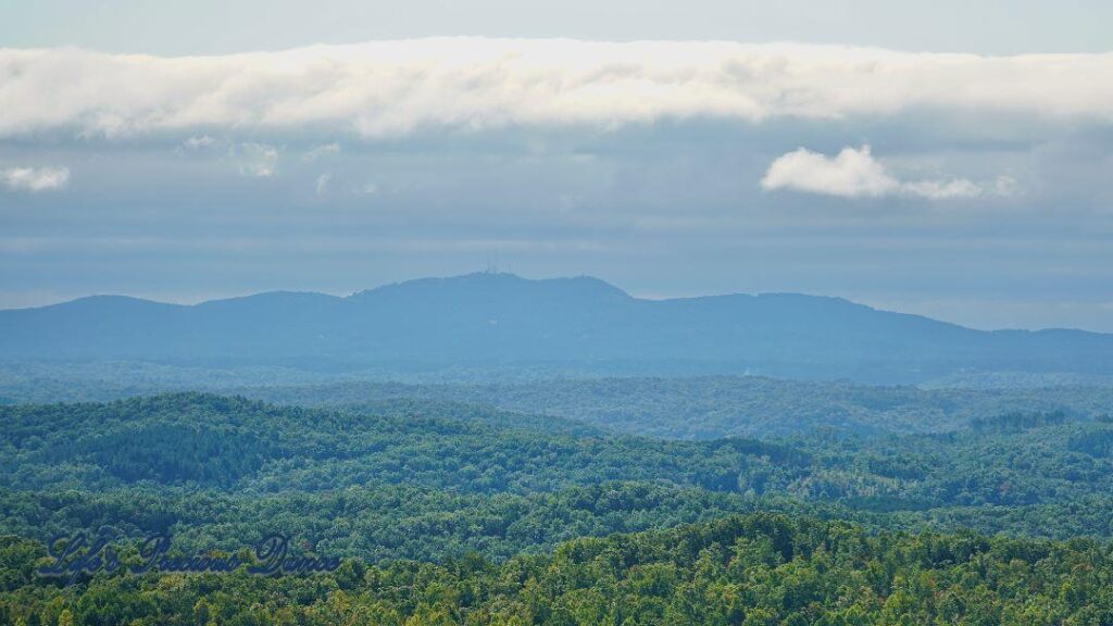 Landscape view of a valley of trees. Clouds up above and mountain range in the background surrounded by fog.