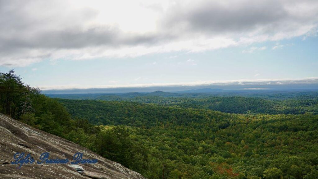 Landscape view of a valley of trees. Thick clouds above and mountain peaks in the background.