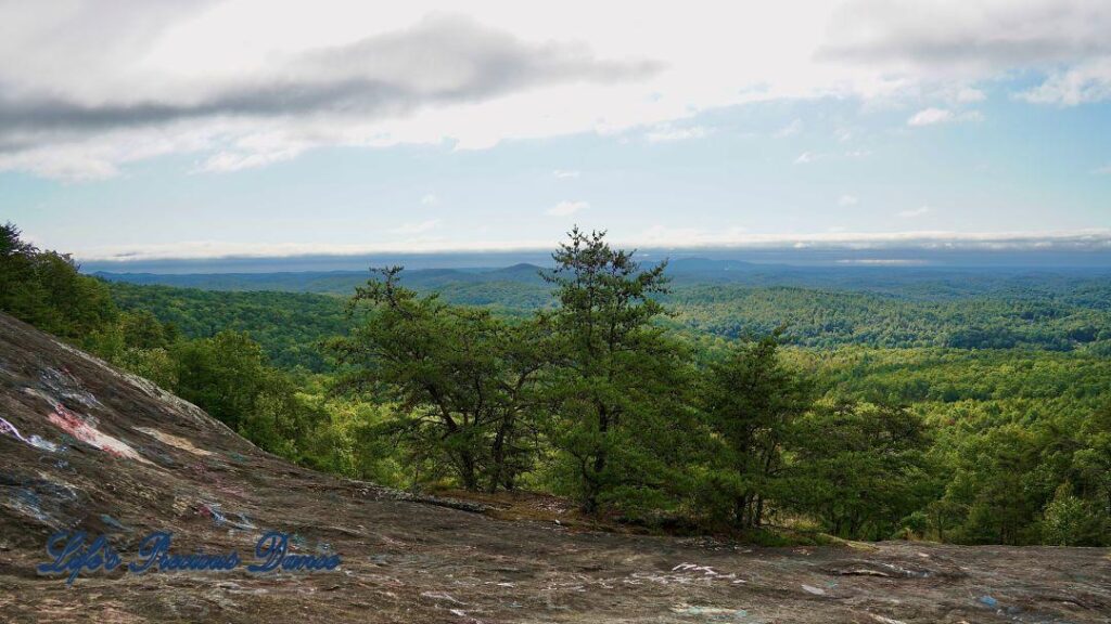 Pine trees on the edge of a rock face. Mountain peaks rising up out of the forest in the background.