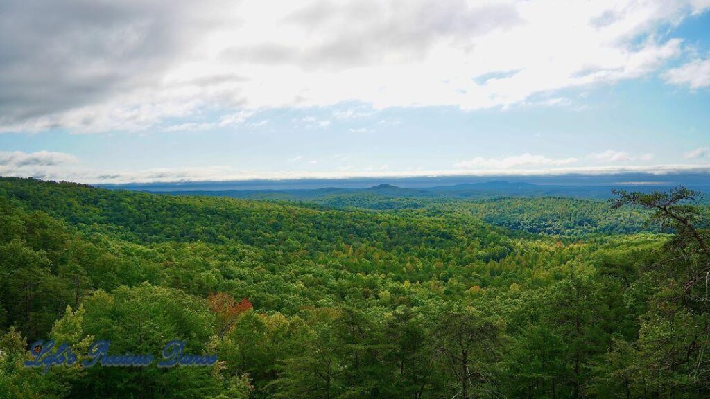 Landscape view of a valley of trees. Mountain peaks in the background and clouds up above.