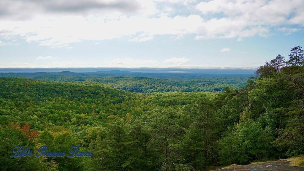 Landscape view of a forest of trees in the valley. Mountain peaks rising in the background and clouds above.