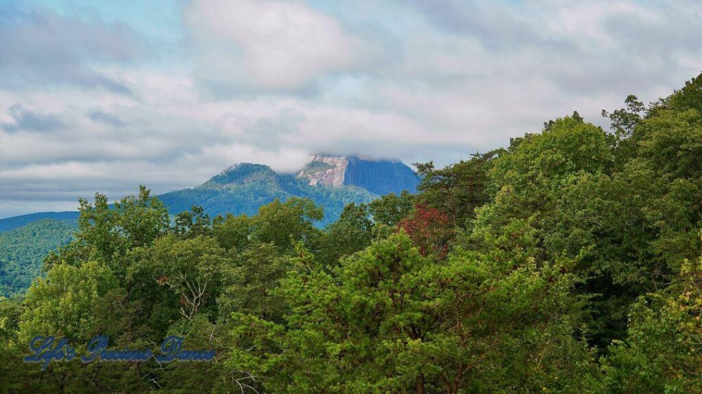 Landscape view of clouds surrounding the peak of Table Rock. Trees in the foreground.