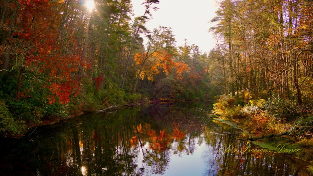 Colorful trees surrounding and reflecting in the Linville River.