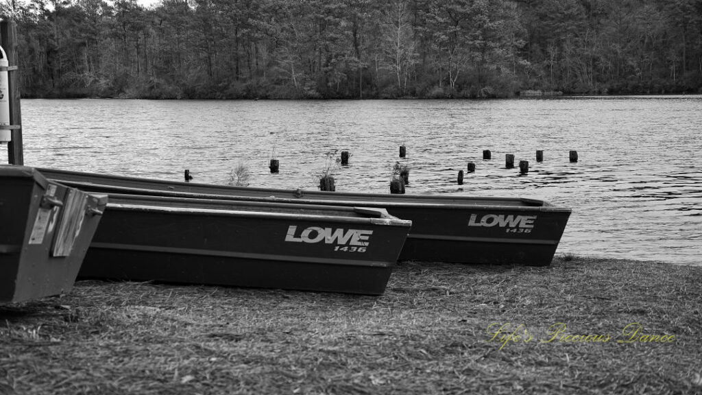 Black and white of rowboats on the shore of Sesquicentennial Lake. Water and pier posts in the background.