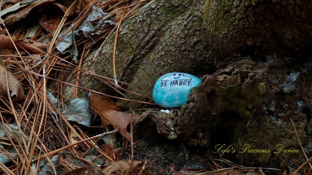 Painted rock in the nook of a tree that says &quot;Be Happy&quot;