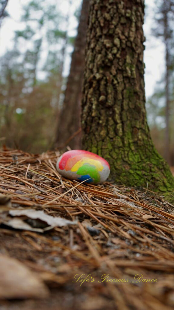 Rainbow colored painted rock at the base of a tree along a trail in Sesquicentennial State Park