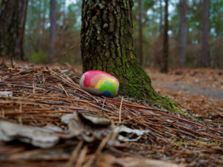 Rainbow colored painted rock at the base of a tree along a trail in Sesquicentennial State Park