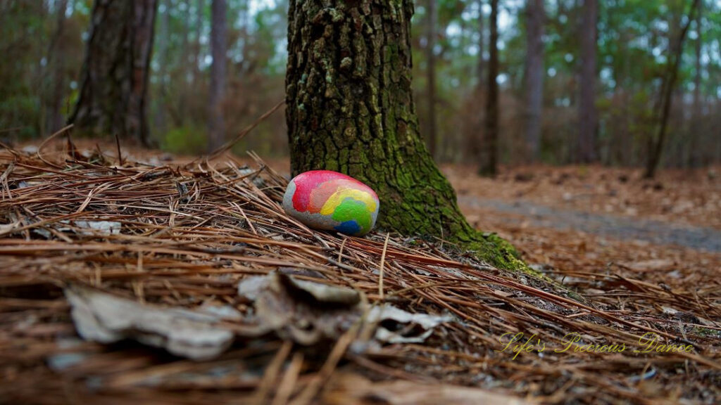 Rainbow colored painted rock at the base of a tree along a trail in Sesquicentennial State Park