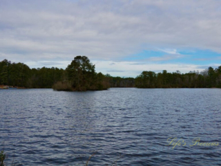 Landscape of Sesquicentennial Lake. Cloudy skies above