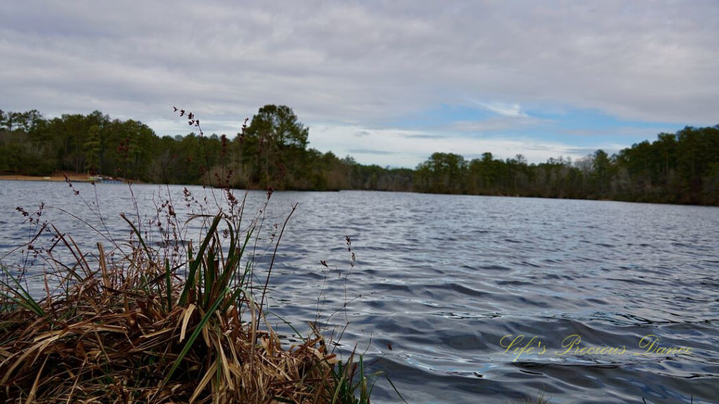 Landscape of Sesquicentennial Lake. Overcast skies above and a mound of grass in right foreground.