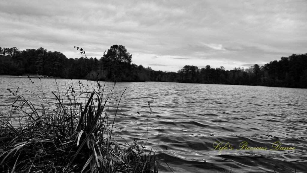 Black and white of Sesquicentennial Lake. Overcast skies above and a mound of grass in right foreground.