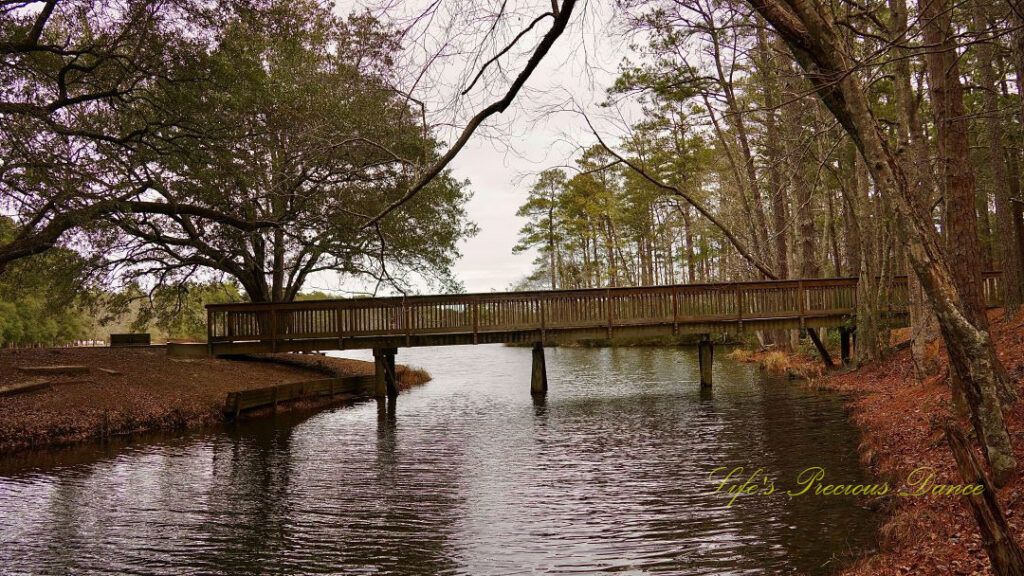 Pedestrian bridge spanning a portion of Sesquicentennial Lake. Trees along the shore.