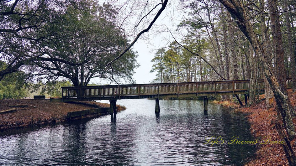 Pedestrian bridge spanning a portion of Sesquicentennial Lake.