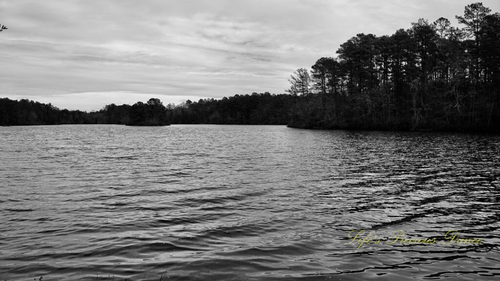 Black and white of Sesquicentennial Lake. Cloudy skies above.