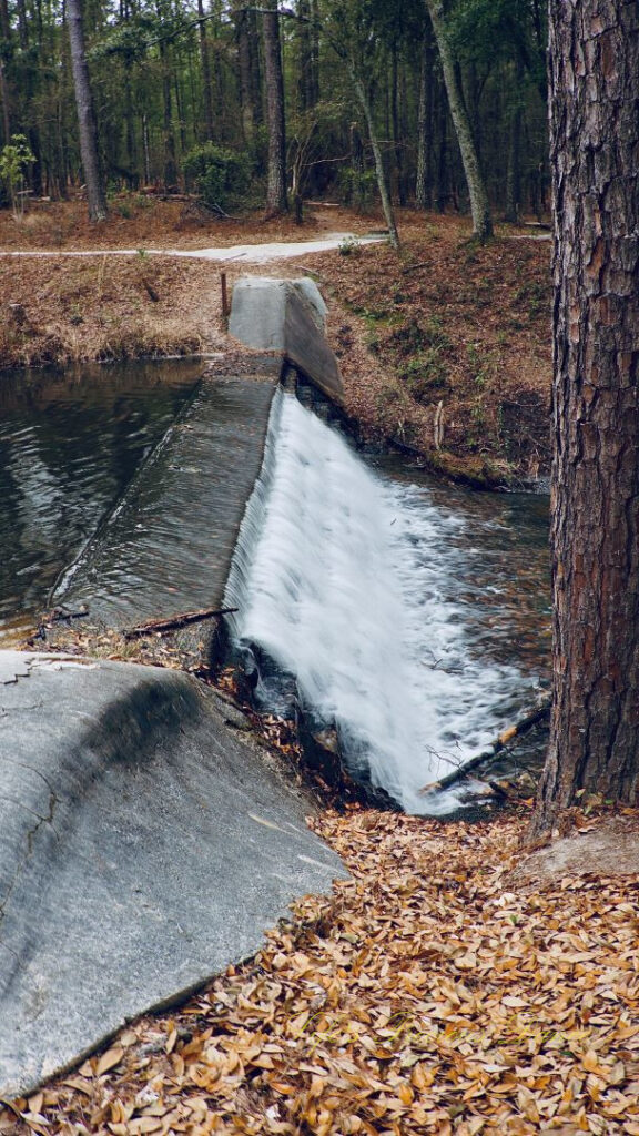 Side view of the lower part of the waterfall at Sesquicentennial State Park.