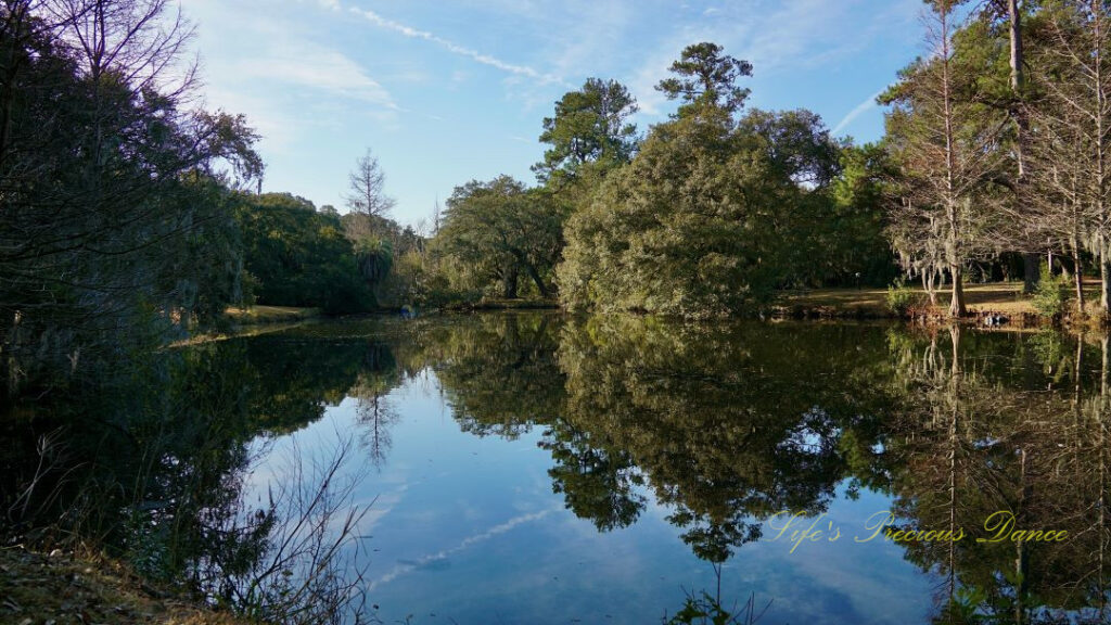 Landscape view of a trees reflecting in a pond at Charles Towne Landing