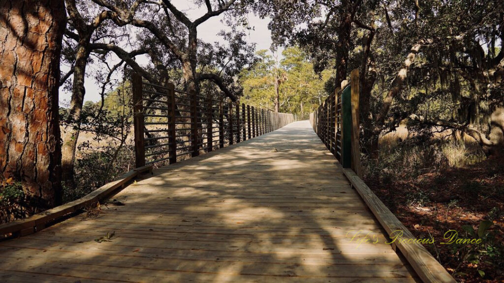 Walking bridge spanning a marshy area at Charles Towne Landing