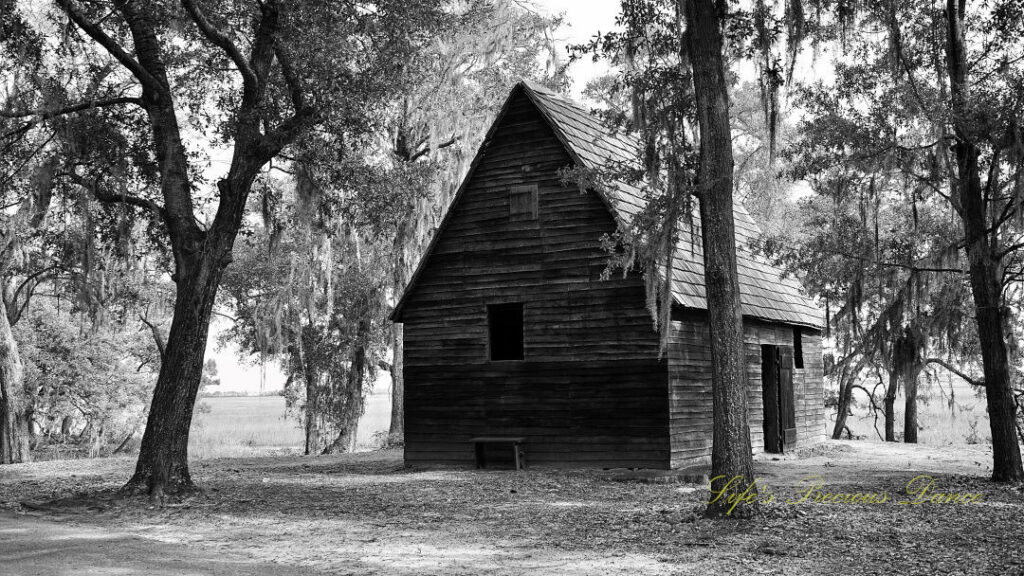 Black and white of an old cabin at Charles Towne Landing, surrounded by trees covered in spanish moss.