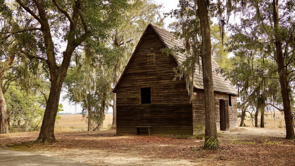 Old cabin at Charles Towne Landing, surrounded by trees covered in spanish moss.